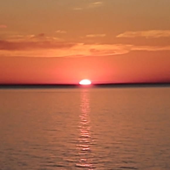 Meet your Posher, Tara - Picture 1 of 1